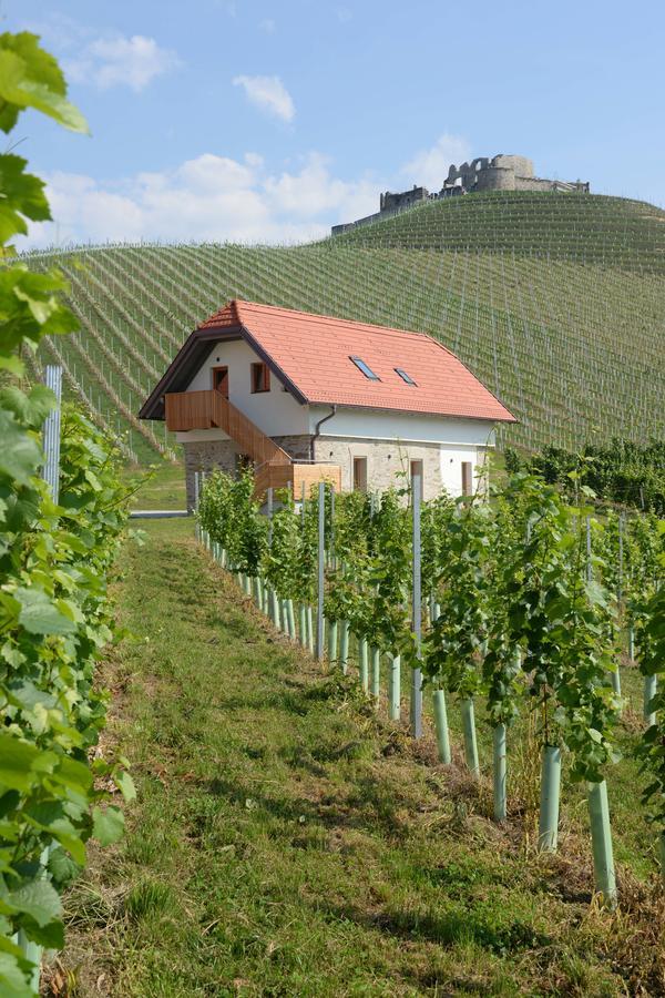 Weingut Taggenbrunn Hotel Sankt Veit an der Glan Bagian luar foto