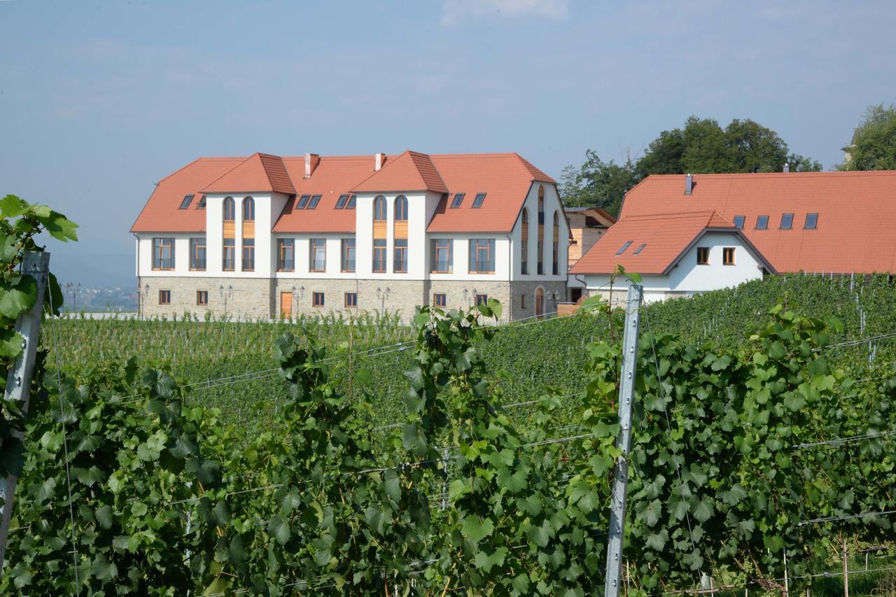 Weingut Taggenbrunn Hotel Sankt Veit an der Glan Bagian luar foto