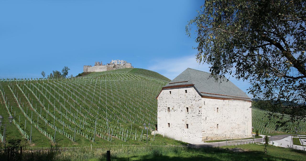 Weingut Taggenbrunn Hotel Sankt Veit an der Glan Bagian luar foto