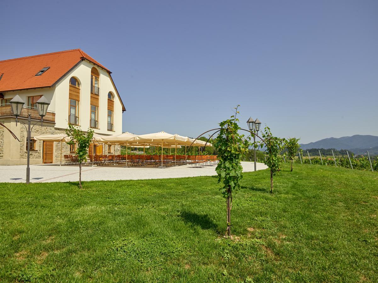 Weingut Taggenbrunn Hotel Sankt Veit an der Glan Bagian luar foto