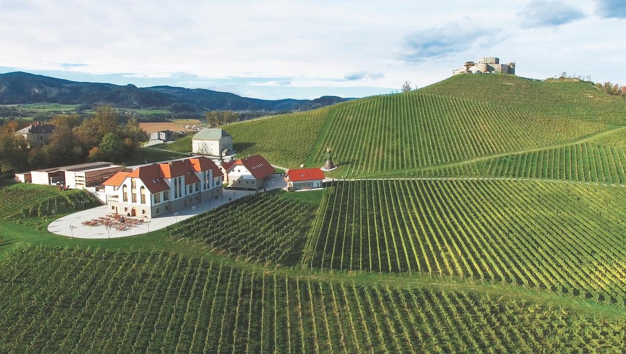 Weingut Taggenbrunn Hotel Sankt Veit an der Glan Bagian luar foto